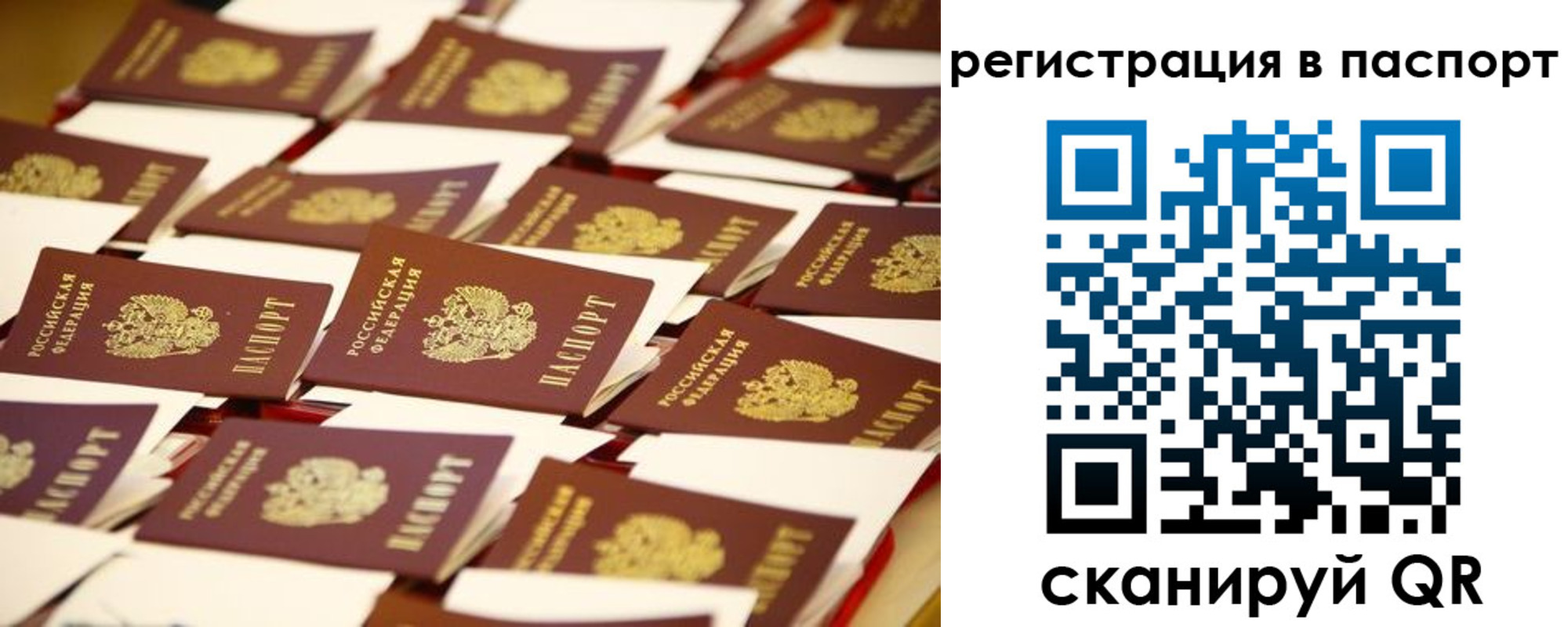прописка гарантия в Ленинске